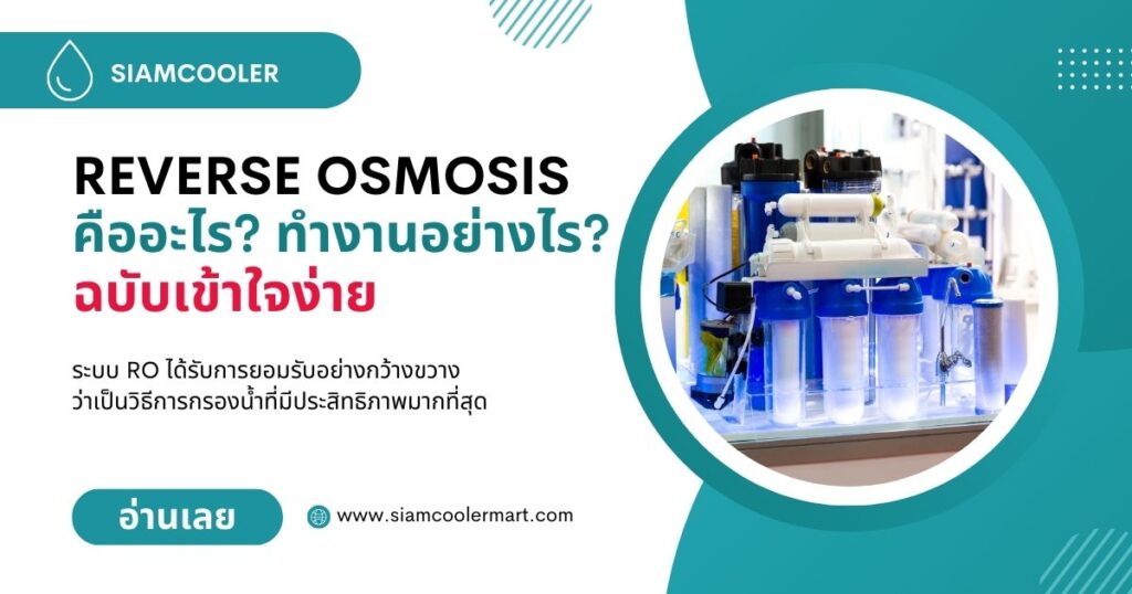 reverse osmosis คือ