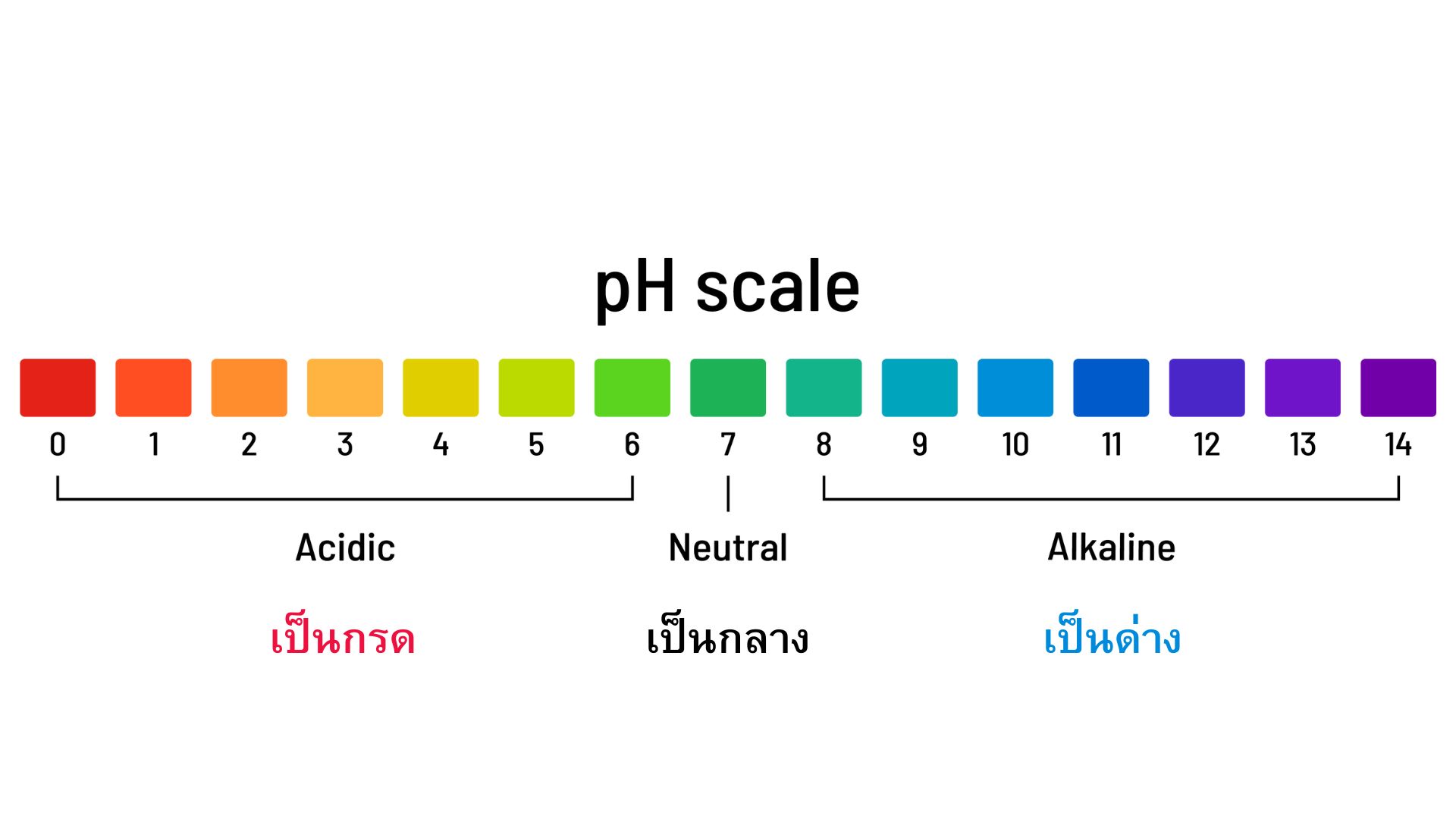 ค่า pH scale