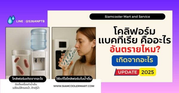 โคลิฟอร์ม คืออะไร